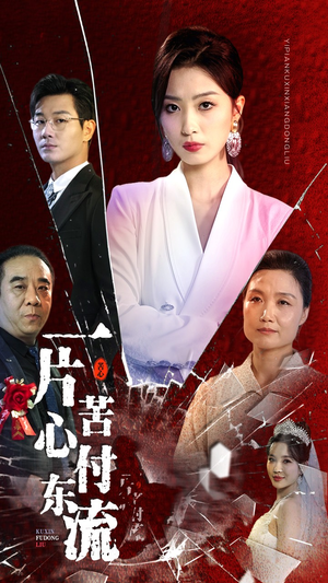 一片苦心付东流（80集）追短剧关注我
