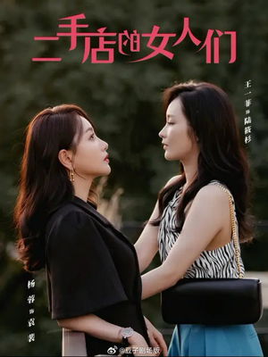 二手店的女人们（66集）免费短剧合集