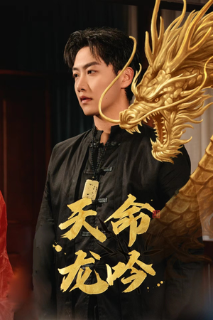 天命龙吟（48集）短剧在线看