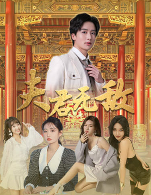 夫君无敌（100集）热门短剧推荐。