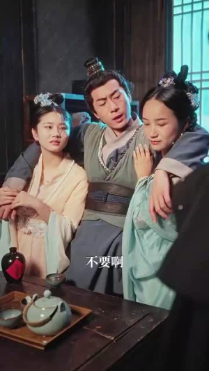 精忠报国（41集）爱短剧爱追剧