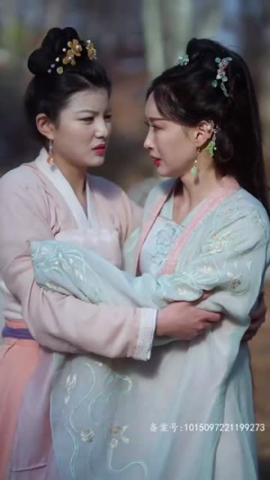锦屏春暖（84集）好看短剧抢先看