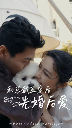 和总裁互穿后先婚后爱（60集）免费短剧资源
