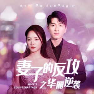 妻子的反攻之华丽逆袭（30集）短剧免费看全集