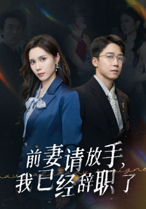 前妻请放手，我已经辞职了（30集）一共多少集