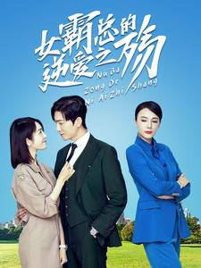 女霸总的逆爱之殇（60集）完整版