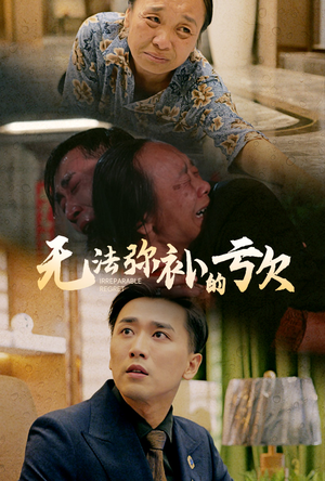 无法弥补的亏欠（59集）在线播放