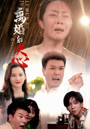 离婚的决心（48集）在线看