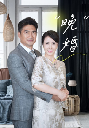 晚婚（65集）红果短剧看全集
