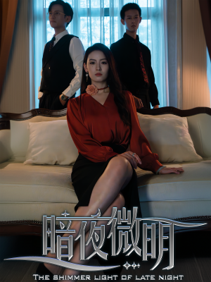 暗夜微明（70集）全网短剧抢先看