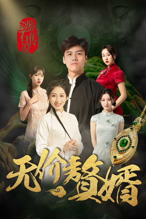 鉴宝传说之无价赘婿（100集）剧情简介