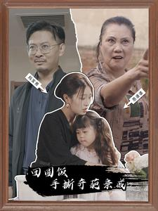 团圆饭手撕奇葩亲戚（40集）短剧更新抢先看