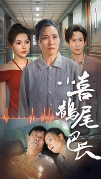 小喜鹊尾巴长（53集）精彩短剧片段