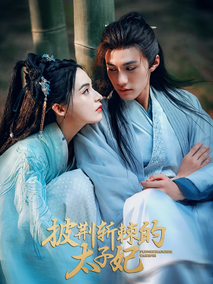 披荆斩棘的太子妃（80集）这部短剧太好看