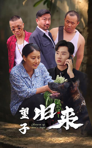 望子归来（50集）爱上了这部剧了