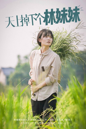 天上掉下个林妹妹（81集）火爆热门短剧