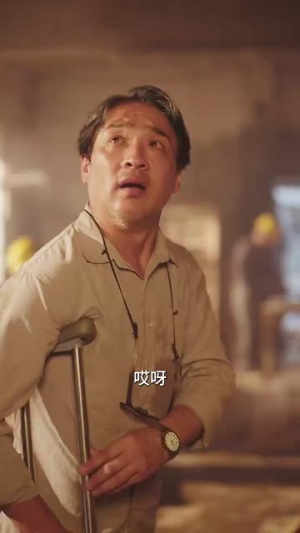 父辈荣耀（59集）短剧