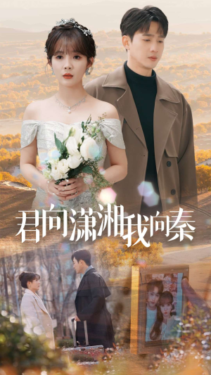君向潇湘我向秦（30集）短剧视频分享
