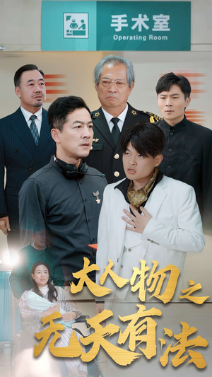 .新大人物之无天有法（35集）精彩短剧热播