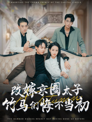 改嫁京圈太子竹马们悔不当初（30集）演员表