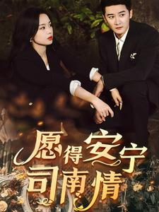 愿得安宁司南情（76集）免费短剧完整版
