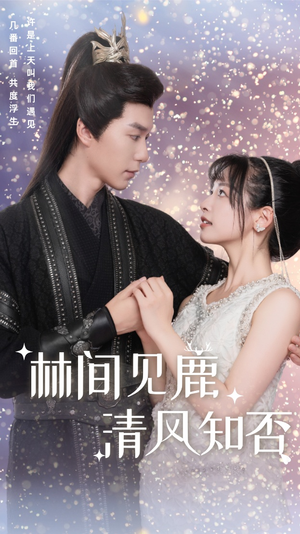 林间见鹿清风知否（62集）热门短剧来袭