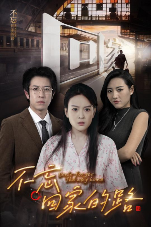 不忘回家的路（61集）免费全集短剧
