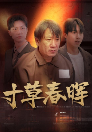 寸草春晖（31集）百万短剧抢先看