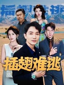 插翅难逃（43集）常回家看看短剧