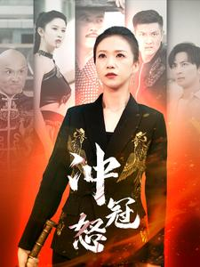 冲冠怒（93集）评价怎么样