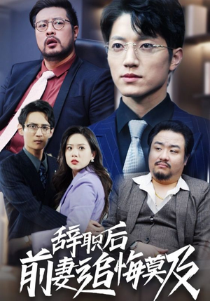 辞职后前妻追悔莫及（30集）超火热门短剧