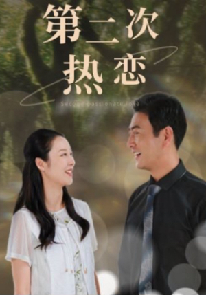 第二次热恋（48集）精彩短剧合集