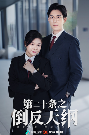 第二十条之倒反天纲（60集）80到100集