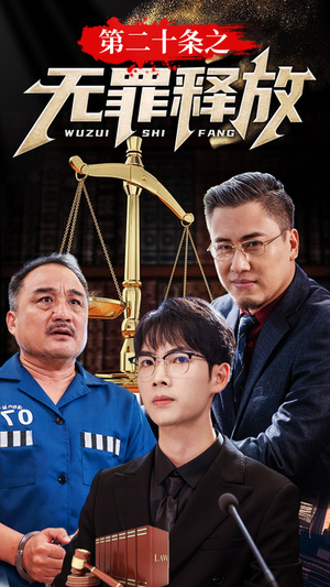 第二十条之无罪释放（76集）推荐热门短剧