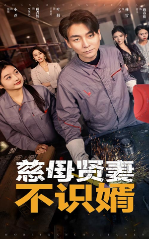 慈母贤妻不识婿（45集）短剧有好货推荐