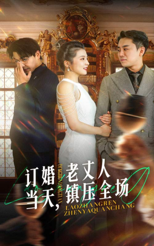 订婚当天，老丈人镇压全场（29集）解说文案