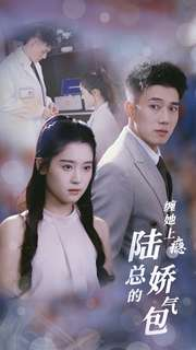 缠她上瘾陆总的娇气包（80集）短剧全集抢先看