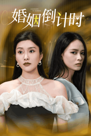 婚姻倒计时（30集）免费在线看