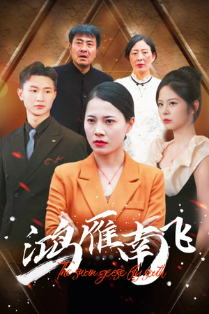 鸿雁南飞（64集）全集免费观看