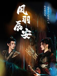 凤羽辰安（100集）高分佳作免费看
