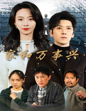家和万事兴（30集）短剧后续更精彩