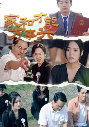 家和才能万事兴（30集）无需会员免费看