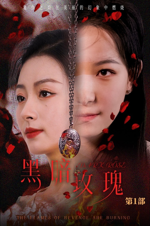 黑暗玫瑰（84集）全集一次看完
