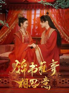 锦书难寄相思意（97集）零花钱看整部剧