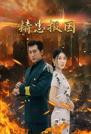 精忠报国（61集）追短剧看全集