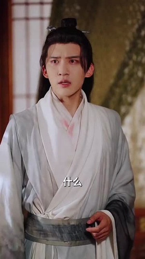 和离后女将军她杀红了眼（50集）高清无码免费看