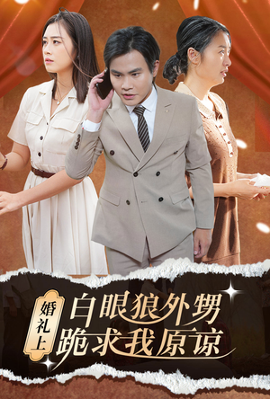 婚礼上白眼狼外甥跪求我原谅（35集）热门短剧追不停