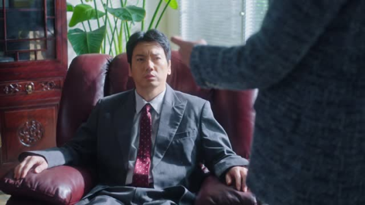 狂飙人生（23集）热播短剧来袭