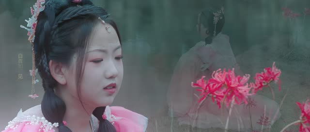 南柯梦（24集）在线观看完整版