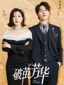 破茧芳华（80集）最火短剧推荐